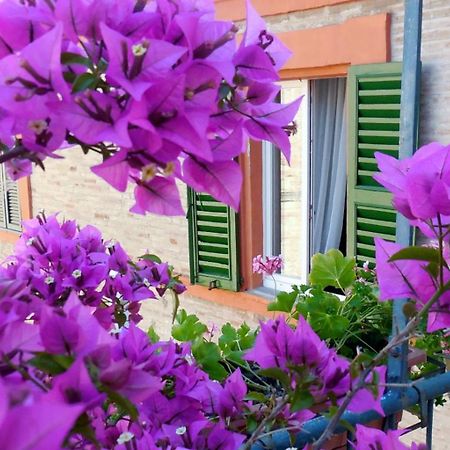 Albergo Arena Macerata Zewnętrze zdjęcie