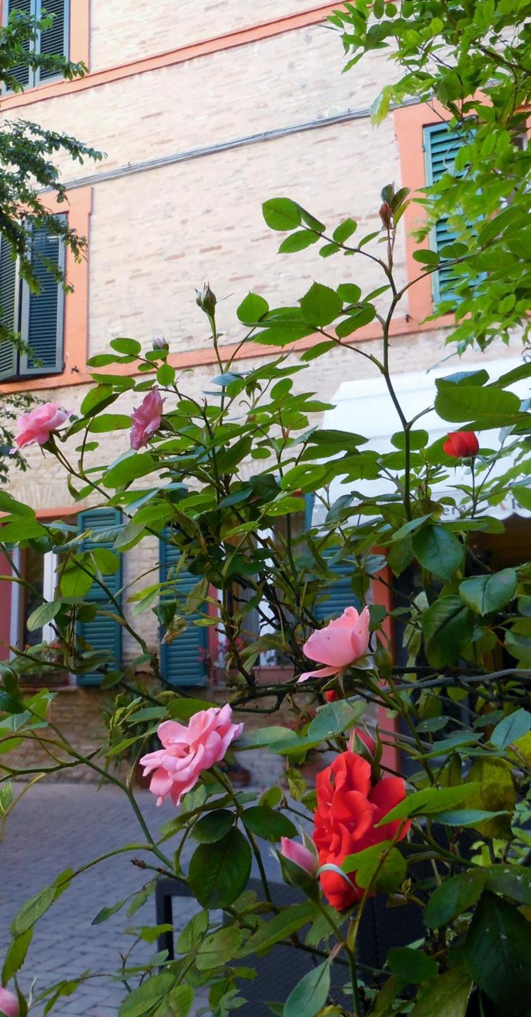 Albergo Arena Macerata Zewnętrze zdjęcie