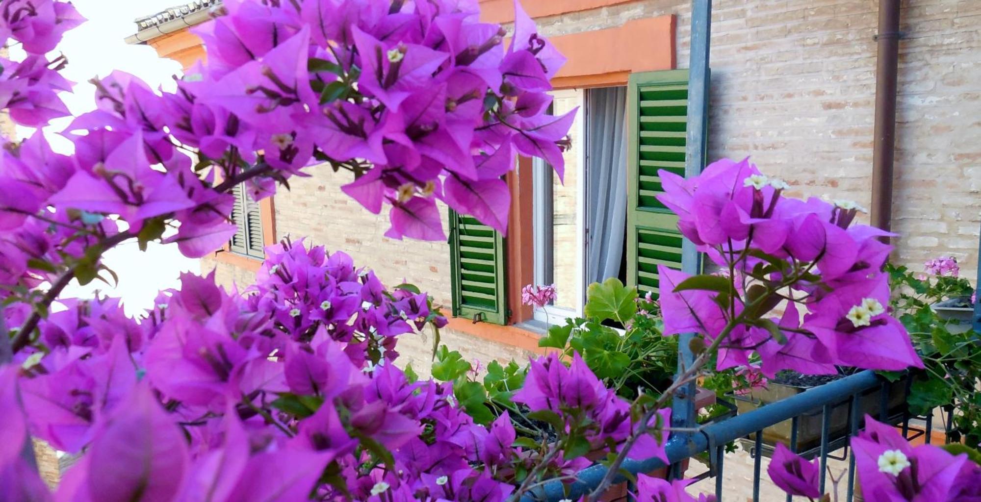 Albergo Arena Macerata Zewnętrze zdjęcie